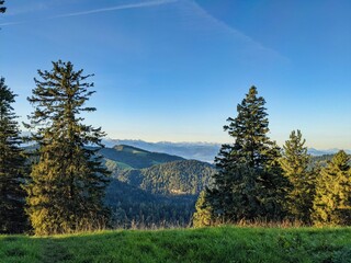Schnebelhorn,Zurich Switzerland.Fantastic sunrise and morning mood to enjoy on the hill.View over the forest to the alps