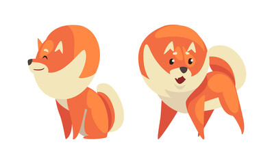 Playful Shiba Inu or Akita Puppy as Japanese Breed Dog with Prick Ears Vector Set