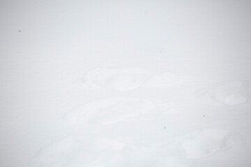 Obraz premium Tracks in the Snow