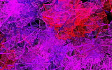 Dark Pink, Red vector elegant template with leaves.