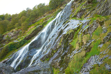 Naklejka na ściany i meble Majestic water cascade of Powerscourt Waterfall, the highest waterfall in Ireland. Famous tourist attractions in co. Wicklow, Ireland.