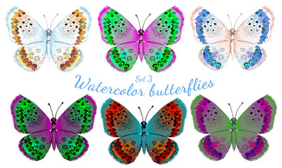 Fototapeta na wymiar set of colorful butterflies isolated on white background