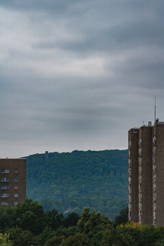 two high-rise developments with a forest in the background and trees in the foreground 