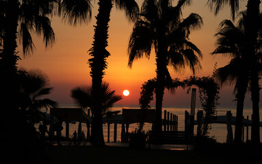 silhouettes of palm trees and beach infrastructure against the background of the setting sun