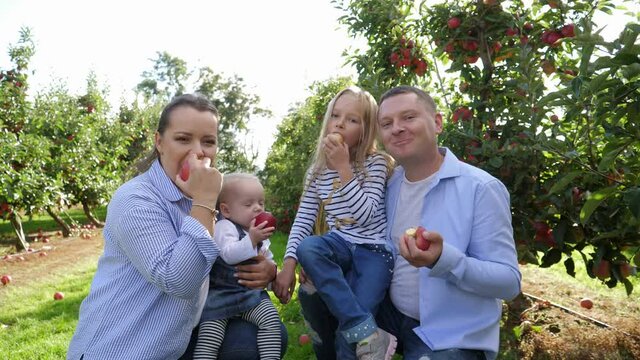 Happy family together enjoy smile and eat ripe apples fruits just plucked in apple tree garden - parents with two little daughters girls