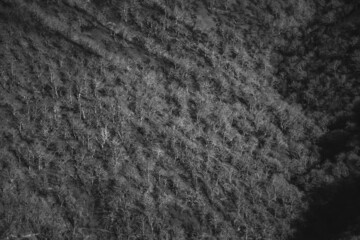 Basque mountains after a wild fire. Burned forest at February 2021.