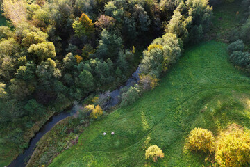 Beautiful colors of autumn. Forest, meadow and river photographed with a drone on sunny day. Regional park of neris in Lithuania. Dukstai educational trail. Real is beautiful  