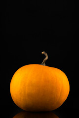 Orange seasonal uncarved pumpkin isolated against black background