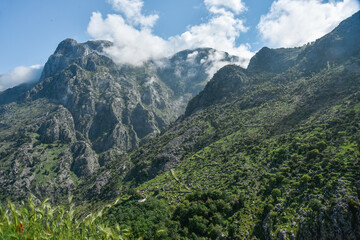 mountains in the mountains
