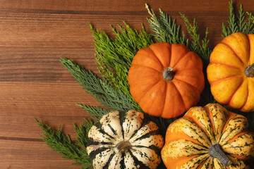 Miniature pumpkins background for Thanksgiving or Autumn.