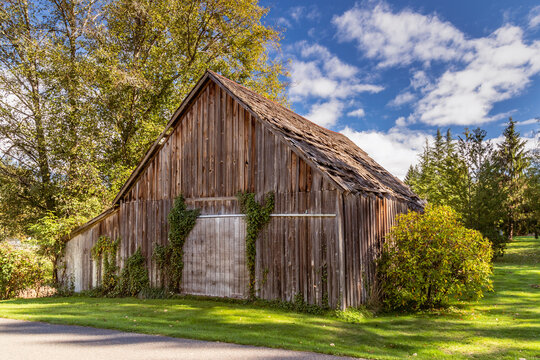 Old Wooden Barn With Rotted Wood Holes in Roof
