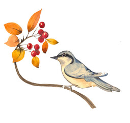 bird on a branch