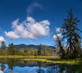 Clouds over Pond on a Late Summer Day in Washington State