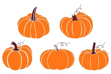 set of pumpkins vector illustration, Halloween, Thanksgiving