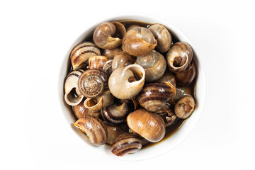 moroccan snails on white background. snails food, moroccan snails food, traditional snail, snails