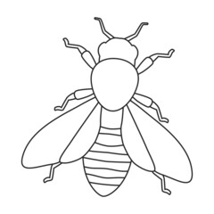 Honey bee vector outline icon. Vector illustration animal of honeybee on white background. Isolated outline illustration icon of honey bee.