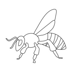 Honey bee vector outline icon. Vector illustration animal of honeybee on white background. Isolated outline illustration icon of honey bee.