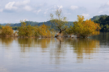 Beautiful Scenic views from a boat on the French River in Tennessee