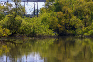 Beautiful Scenic views from a boat on the French River in Tennessee