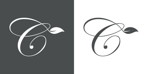 Logotipo letra inicial C con hojas de planta en fondo gris y fondo blanco - obrazy, fototapety, plakaty