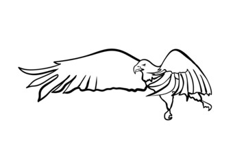 an illustration of an eagle