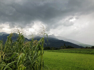 Fototapeta premium SCHAAN, LIECHTENSTEIN, AUGUST 3, 2021 Bad weather over a green field