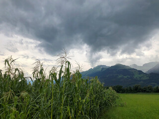 SCHAAN, LIECHTENSTEIN, AUGUST 3, 2021 Bad weather over a green field