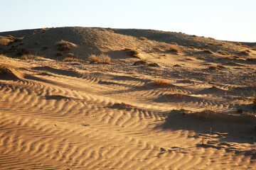 Fototapeta na wymiar Gobi Desert near Sainshand. Mongolia
