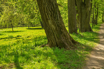 Park of Izmaylovo estate in Moscow. Russia