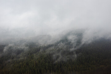fog in the mountains