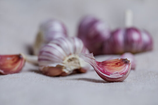 Close-up Of Purple Garlic Cloves On Burlap. Autumn Products For A Healthy Diet.