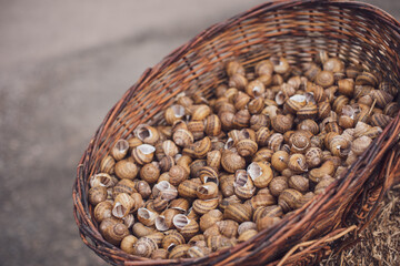 Close up. A brown wicker basket filled with empty snail shells.