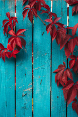 red autumn leaves on the fence