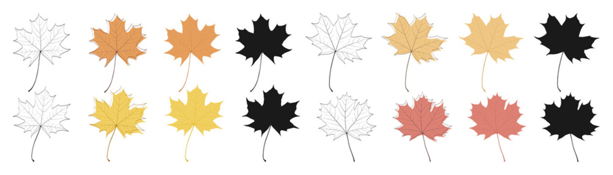Set of autumn maple leaves isolated on white background. Flat style, outline, silhouette. Vector elements for design.