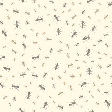 Beautiful patern ants on a yellow background. Vector image.
