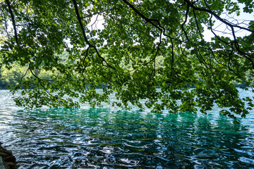 Beautiful landscape in the Plitvice Lakes National Park in Croatia