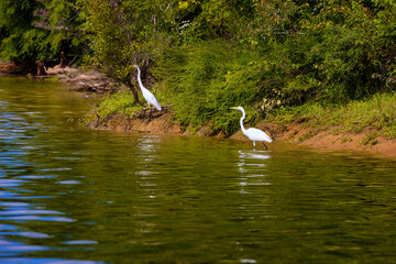 Naklejka na ściany i meble Beautiful Scenic views from a boat on the French Board River in Tennessee