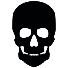 human remains of a skull skeleton on a white background EPS 10