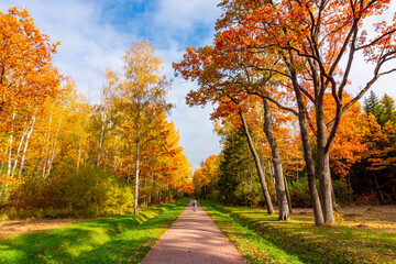 Babolovsky park in autumn, Pushkin (Tsarskoe Selo), Saint Petersburg, Russia