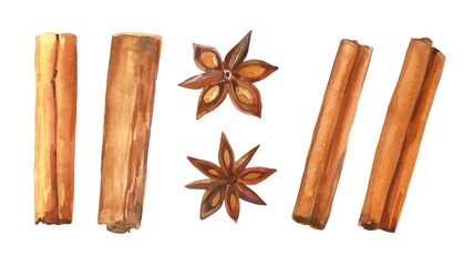 Watercolor hand painted Christmas botanical spices, herbal leaves and cinnamon sticks illustrations set isolated on white background