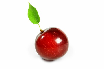juicy red ripe plum fruit with leaf isolated on white background with copy space
