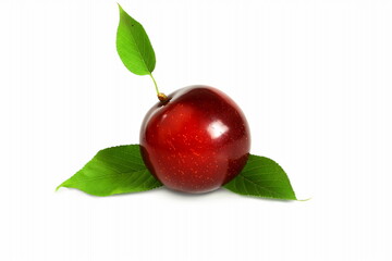 juicy red ripe plum fruit with leaf isolated on white background with copy space