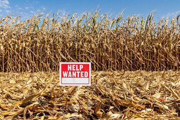 Help wanted sign in farm field. Farm labor shortage, agriculture job market and employment concept