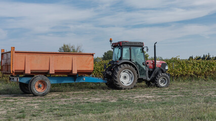 Obraz premium Tractor in the vineyard waiting for grapes
