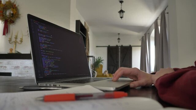 Woman developer working with computer at home office