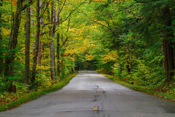 Early season fall foliage colors in New England