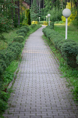 A narrow stone path in the park