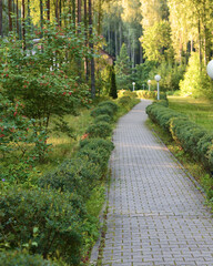 A narrow stone path in the park