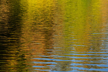 reflection in water in autumn