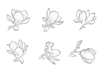 hand drawn magnolia flower set. sketch element for greeting card and invitation design - obrazy, fototapety, plakaty